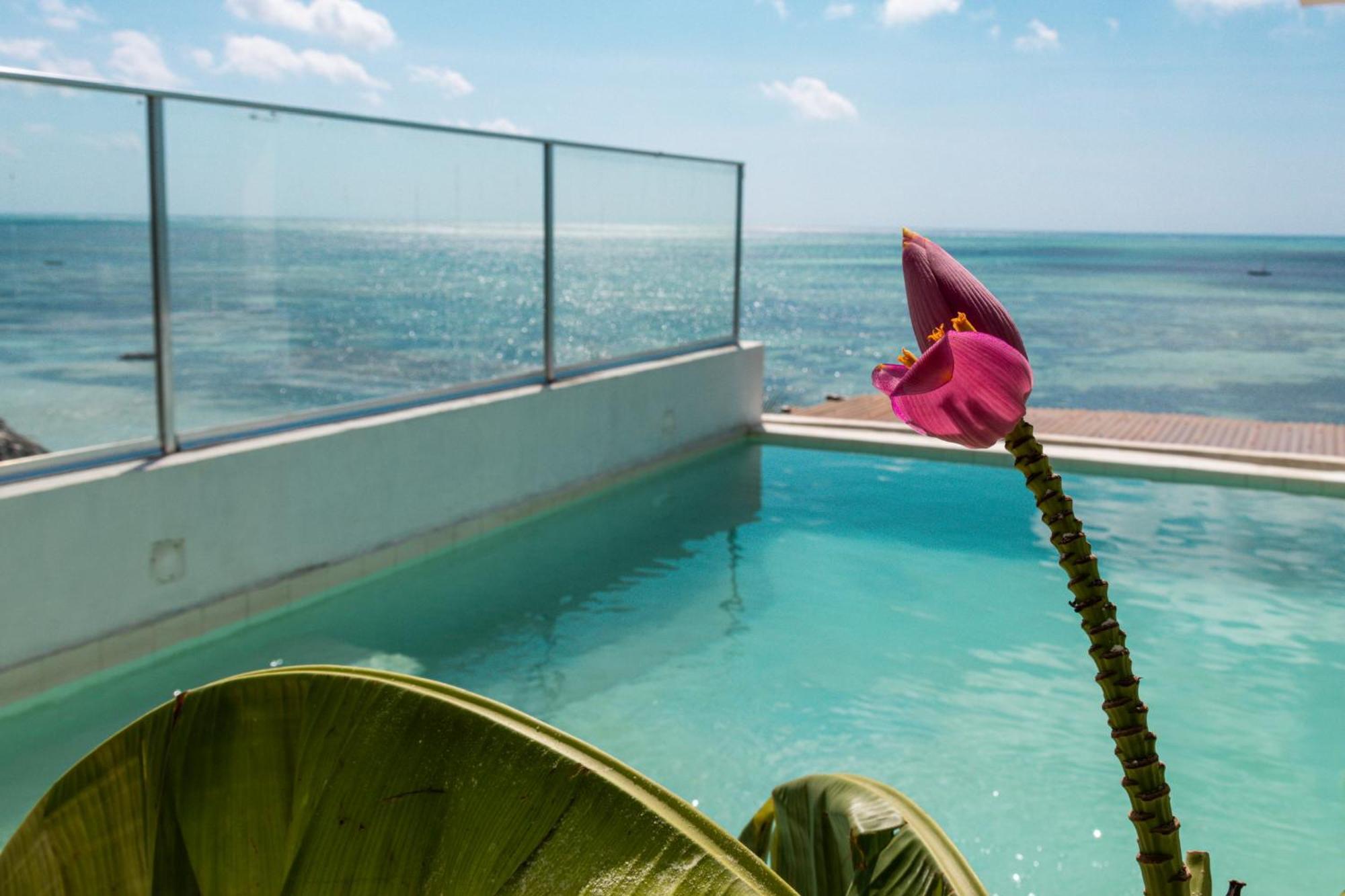 Pili Pili Sunrise Beach Otel Jambiani  Dış mekan fotoğraf