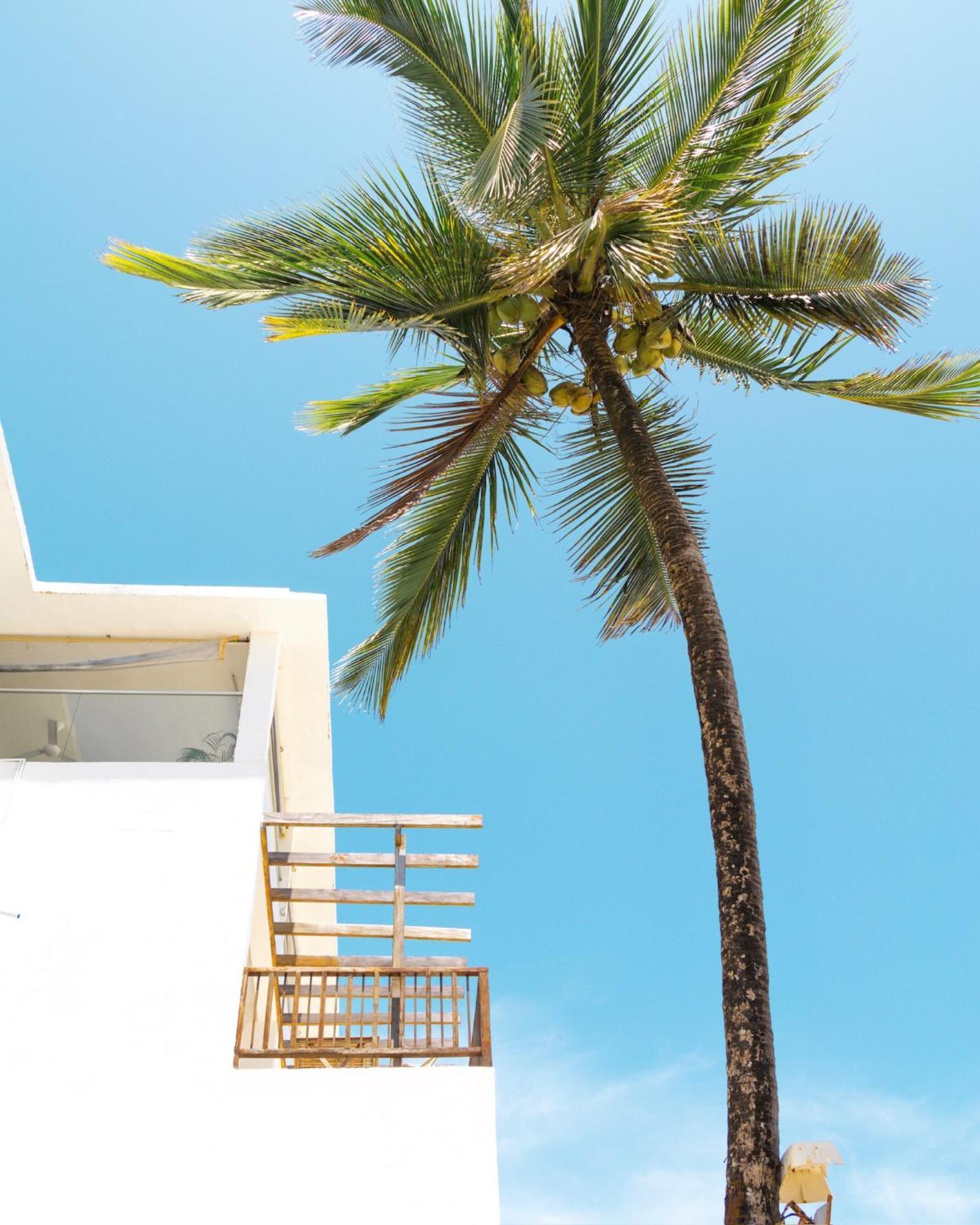 Pili Pili Sunrise Beach Otel Jambiani  Dış mekan fotoğraf